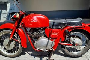 Moto Guzzi Lodola 235 G.T. 1960