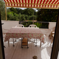 Last minute San nicola arcella I Delfini