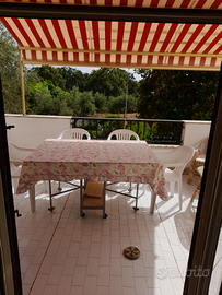 Last minute San nicola arcella I Delfini