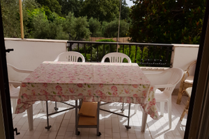 Last minute San nicola arcella I Delfini