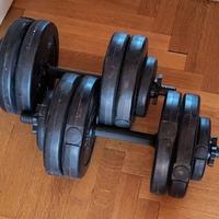 Manubri 12.3 kg per manubrio