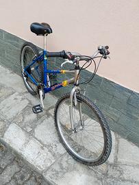 mtb 26 pollici 