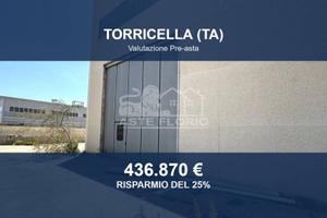 Immobile in asta di 4186 m² a Torricella