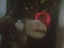 Immagine 4