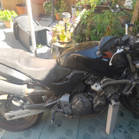 Honda Hornet 600
