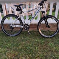  MTB telaio in alluminio 