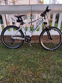  MTB telaio in alluminio 