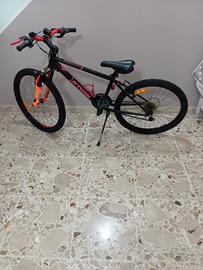 bicicletta 