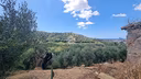 terreno-a-reggio-di-calabria