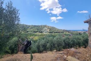 TERRENO A REGGIO DI CALABRIA