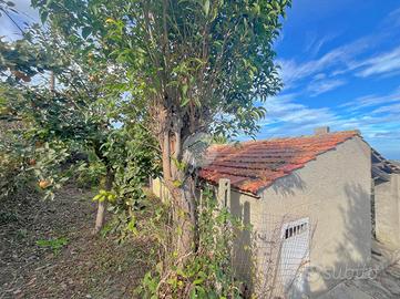 RUSTICO A ROSETO DEGLI ABRUZZI