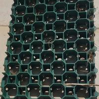 GRIGLIATO SALVAPRATO 