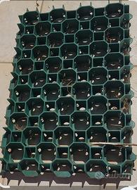 GRIGLIATO SALVAPRATO 