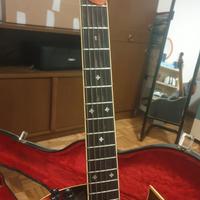Fender semiacustica vintage