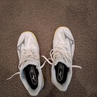 mizuno wave exceed court n.37