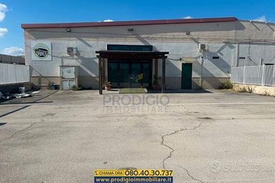 Ampio capannone con piazzale a Bisceglie