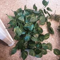 Centinaia di piantine finte nuove