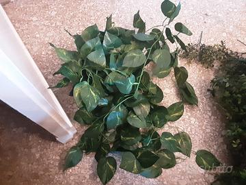 Centinaia di piantine finte nuove