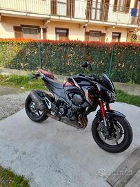 Kawasaki Z800 Sugumi