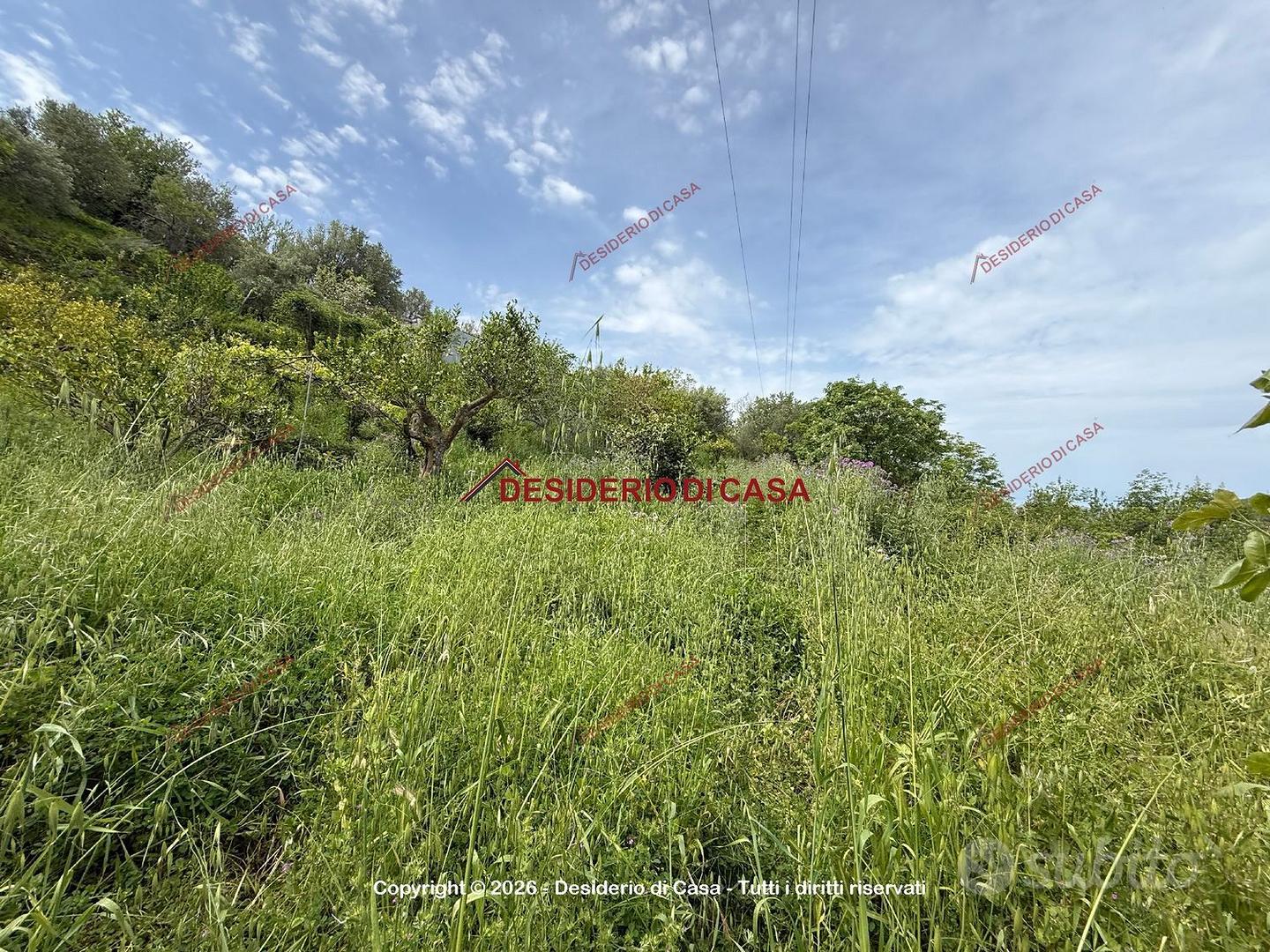 Terreno, Cefalù. - Vista 2
