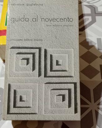 Guida al novecento