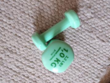 Coppia pesetti da 1 kg