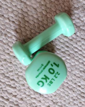 Coppia pesetti da 1 kg