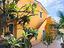 Immagine 3