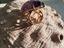 Immagine 4