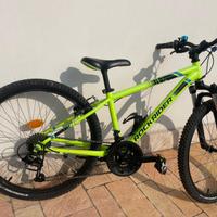 Bicicletta bambino ruote 24.