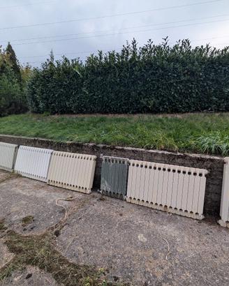 Termosifoni in ghisa. 