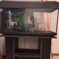 Acquario completo 