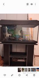 Acquario completo 