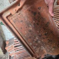  tegole pica portoghesi 