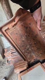  tegole pica portoghesi 