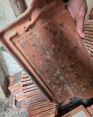  tegole pica portoghesi 