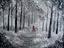 Immagine 5