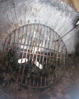 Weber 