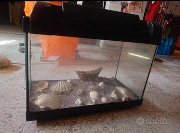 acquario 