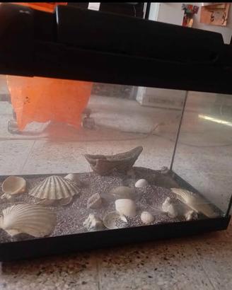acquario 