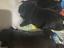 Immagine 3