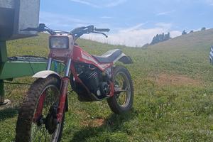 Trial fantic motor 301