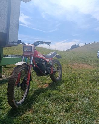 Trial fantic motor 301