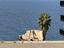 Immagine 18
