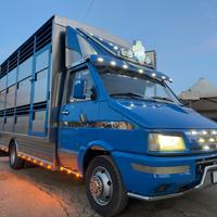 IVECO DAILY 35.10 TRASPORTI ANIMALI VIVI