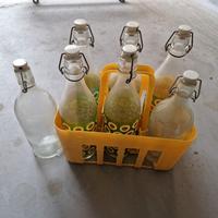 bottiglia e porta bottiglia 