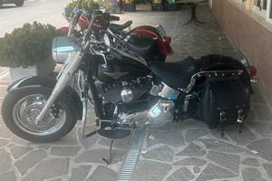 Harley fat boy