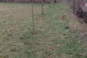 Terreno agricolo