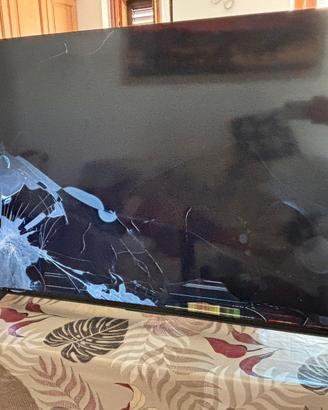Tv da 50” e 55”
