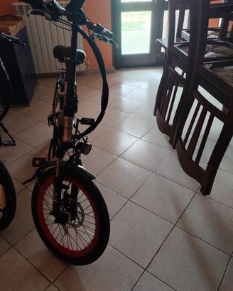 bici elettrica 
